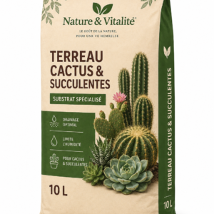 🌵 Terreau Cactus & Succulentes – 10 L